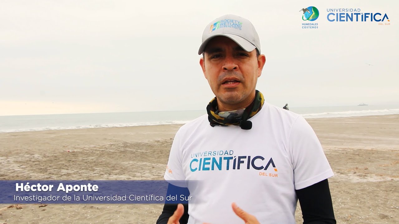 BioHCosP - Ciencia y Conservación en los Humedales Costeros del Perú