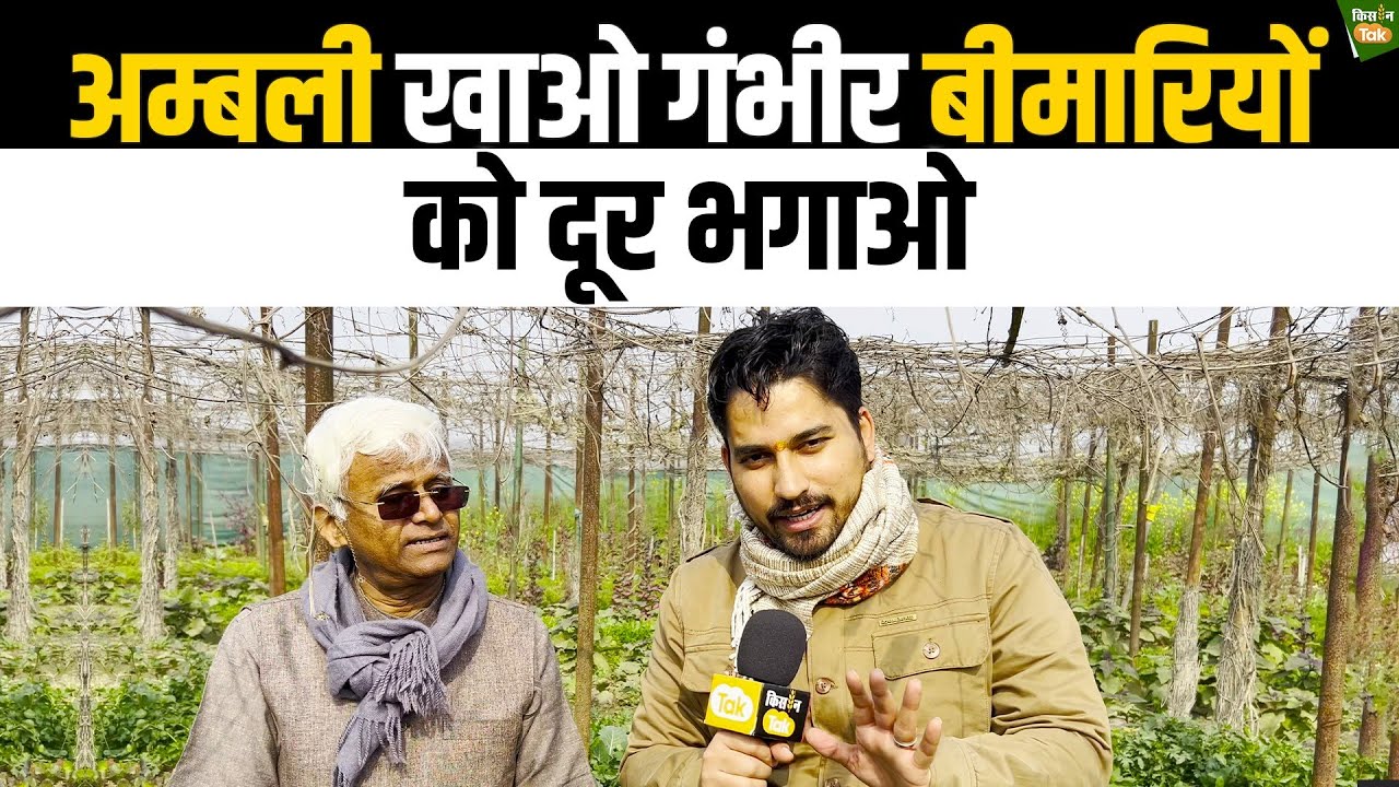 गंभीर बीमारियों का रामबाण है अम्बली,डॉ खादर वली से जानें कैसे | Dr Khadar Vali | Ambali | Kisan Tak