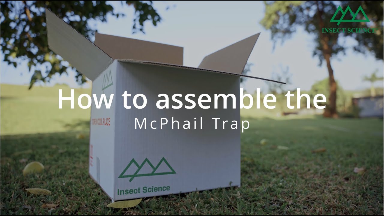 How to assemble the McPhail Trap | Insect Science