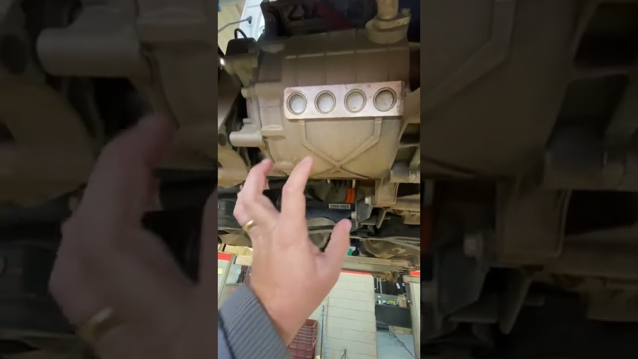 Revisão de 20 mil km do JAC e-JS1
