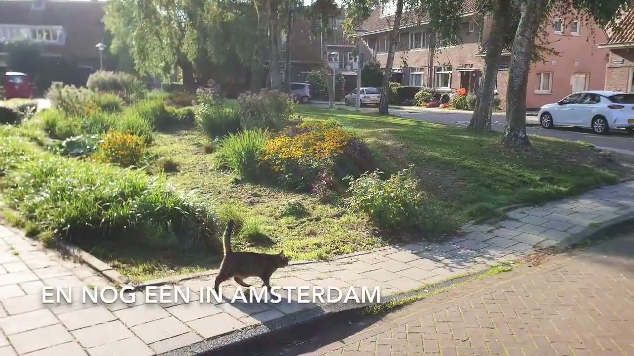 Regenwater opvangen is kwaliteit toevoegen