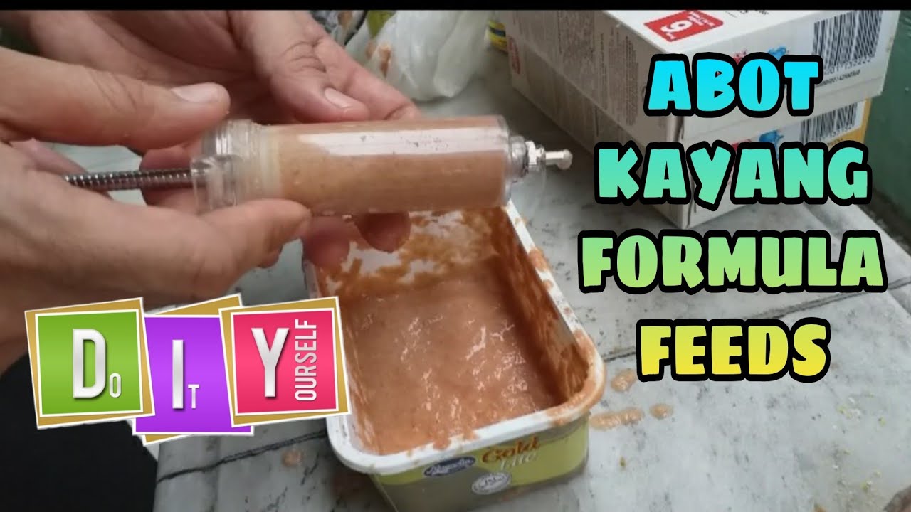 Murang Formula/Malusog, Matalino mga ibon,masama ba ang gatas o cerelac sa ibon? #africanlovebirds