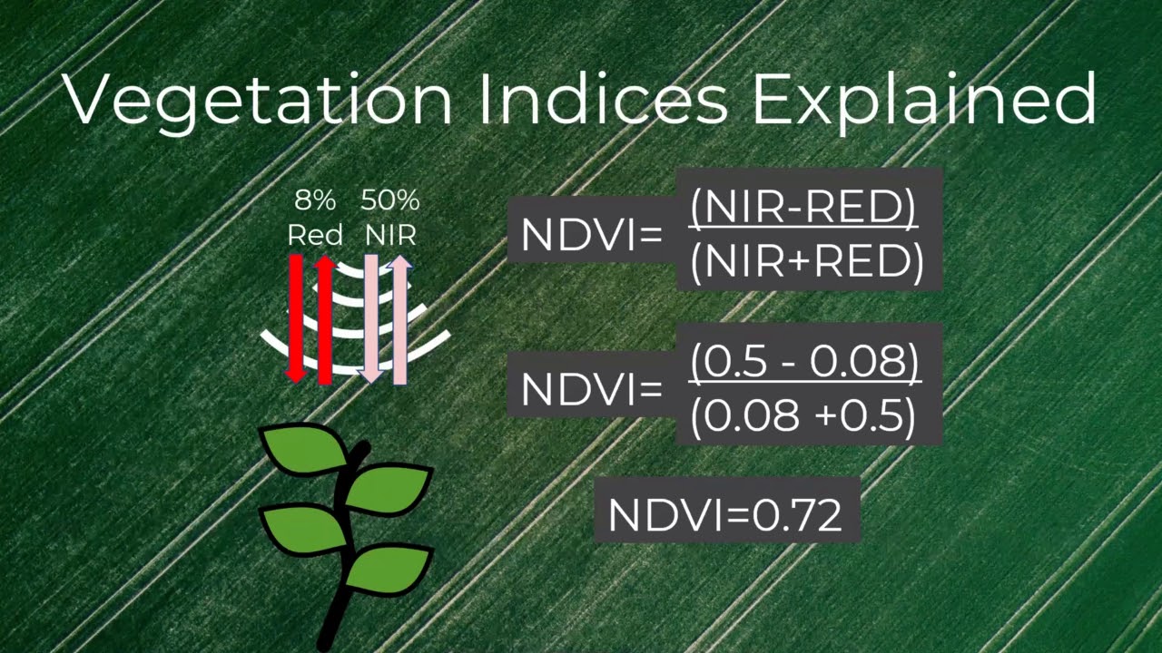 Webinar june 2018