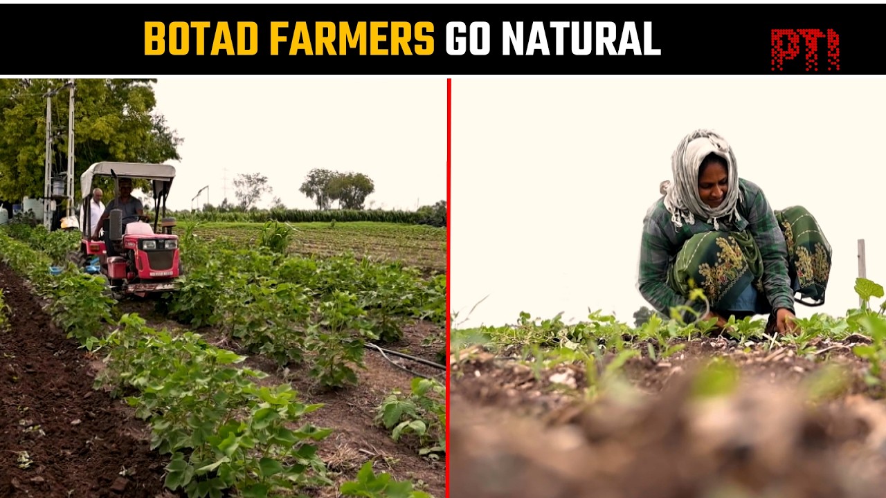 Gujarat Botad Farmers Adopt Natural Farming for a Self-Reliant Future