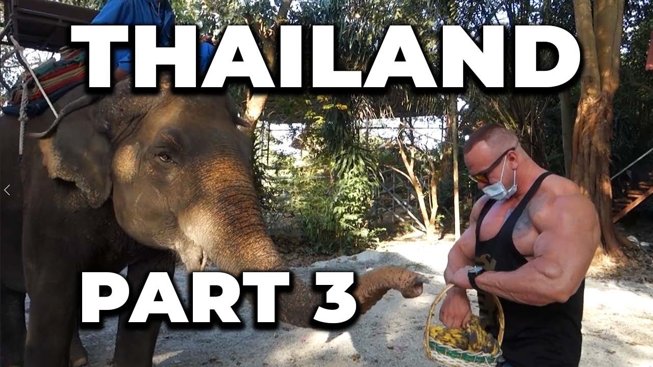 IFBB PRO TONI KOHONEN - Thailand part3. Testosika, Ändin shortsit ja Jouluruoka
