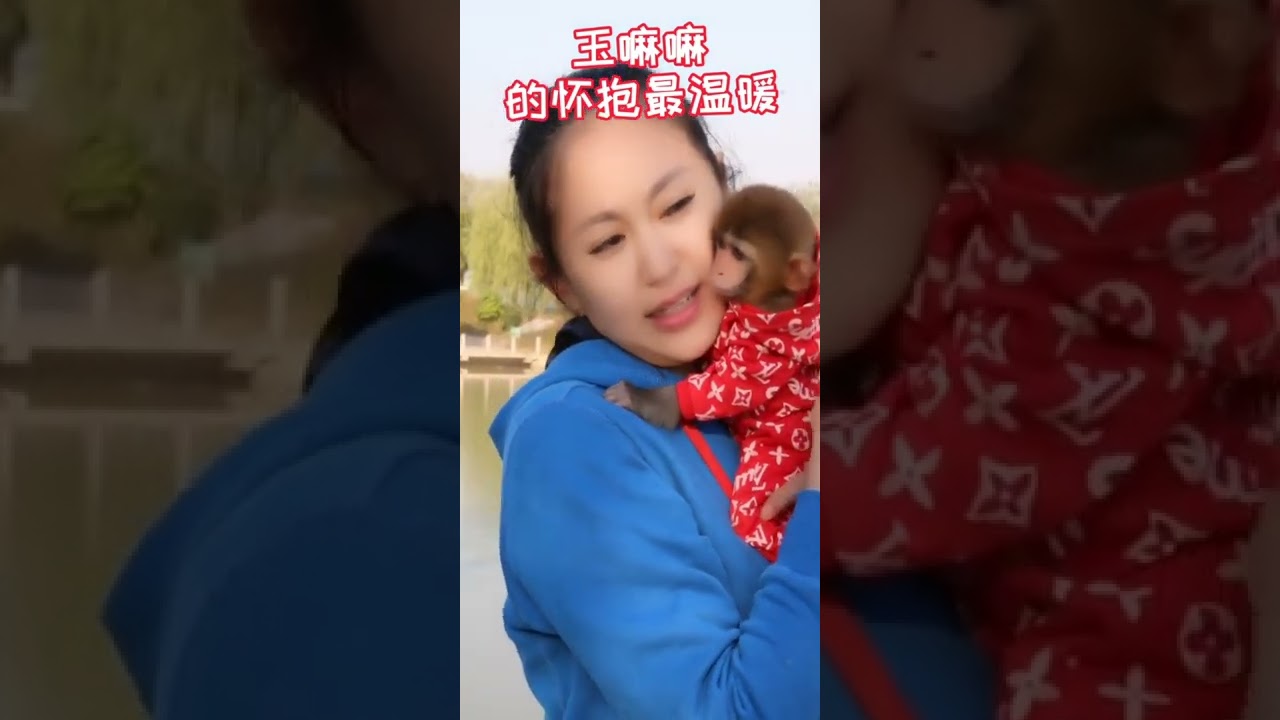 Baby Monkey BO BO Cute Monkey Funny Monkey Smart Monkey Videos #Shorts 422