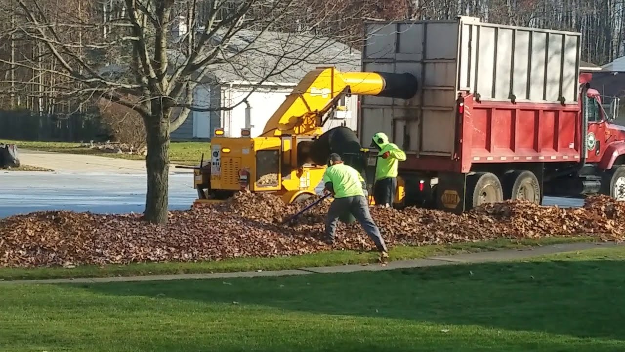 Where have I been? | Who would have thought leaf pickup was so exciting to watch?  🤣 | What's next?