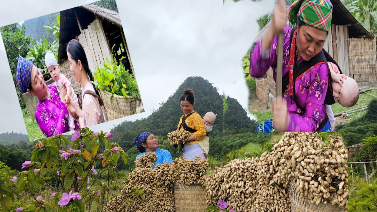 full video: the joys and small events in Nhung's daily life