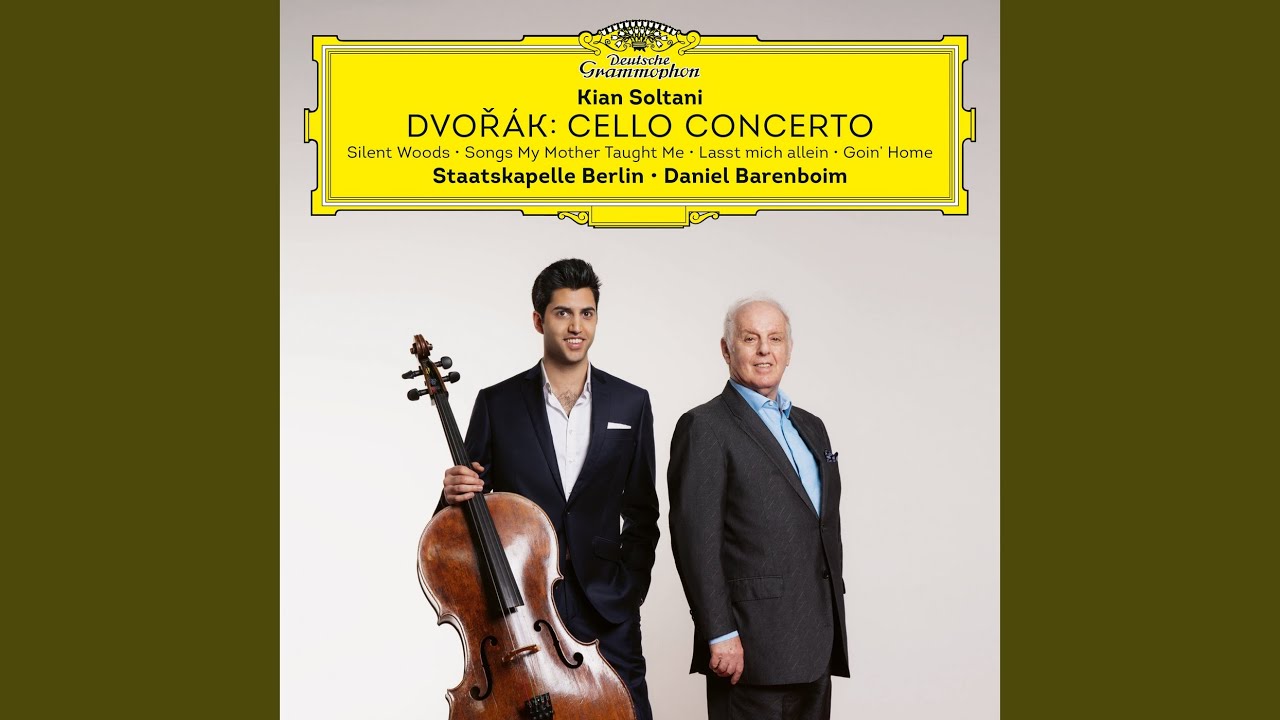 Dvořák: Cello Concerto in B Minor, Op. 104, B. 191: I. Allegro