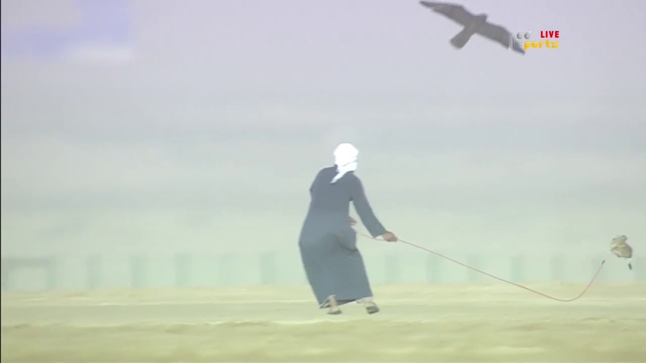 كأس رئيس الدولة للصقور | 24 يناير 2018