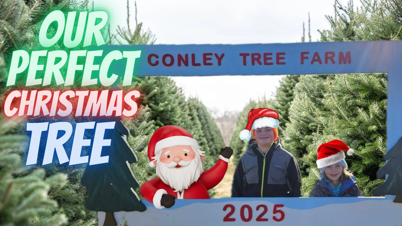 The BEST Christmas Tree from Conley Farm - Farmington, NH #christmas #happyholidays #tree