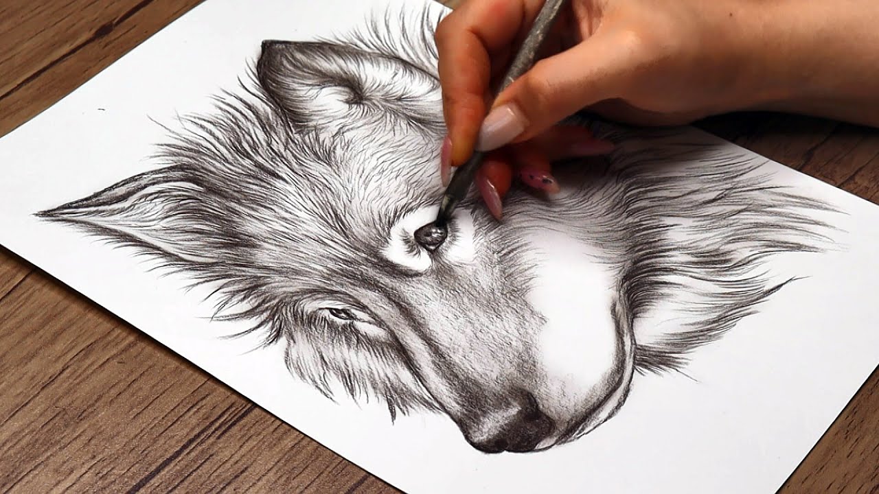DRAW a Realistic Wolf Head with Pencil Step by Step