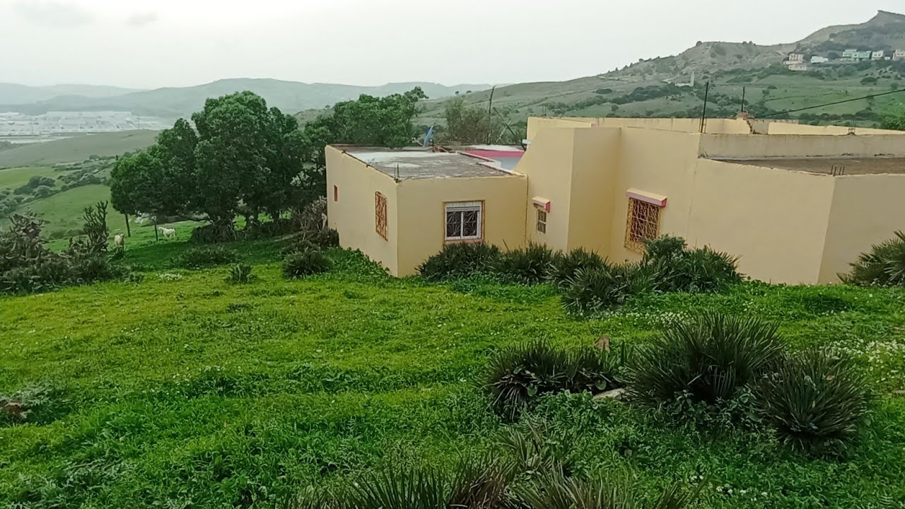 دار وغرسة غزالة 🏡 فالطبيعة الخلابة 🌲 مساحة هكتار ونصف بثمن جد مناسب 💥وبالروبريز منطقة ملوسة طنجة🥰