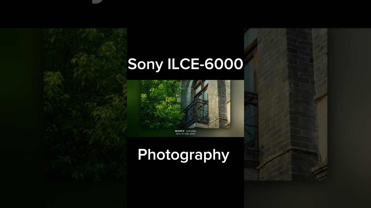 Sony ILCE-6000 Photography Test | Stunning Shots with Alpha 6000