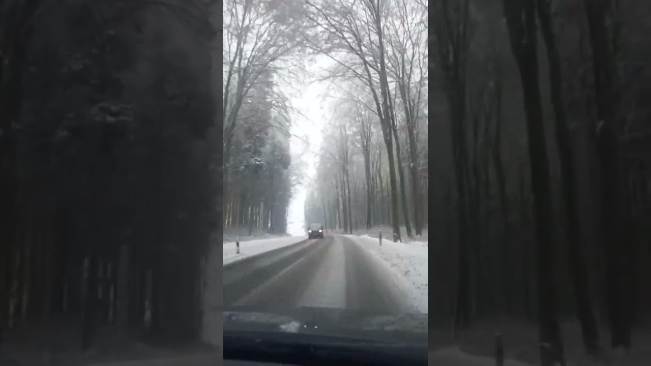 Зимний лес Баварии #shorts #germany #asmr #drive #live #like #new #motivation #world #mariupol
