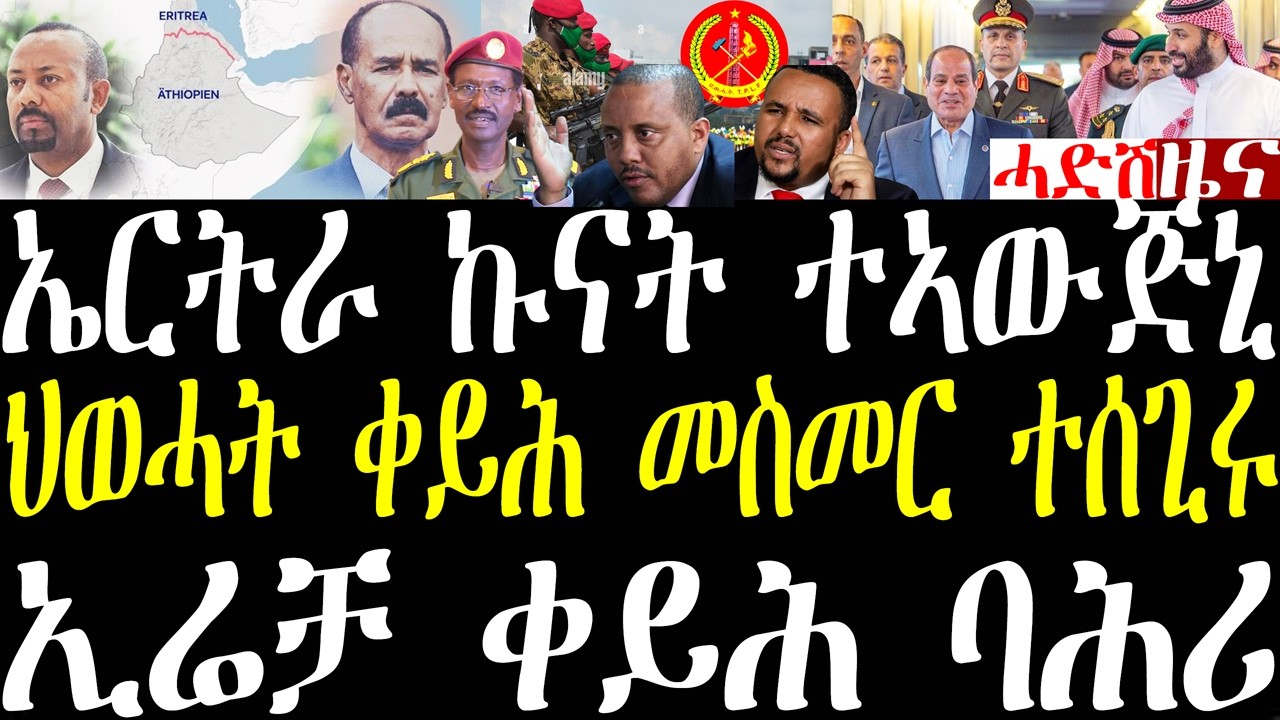 Breaking ኤርትራ ብልጽግና ኩናት ይእውጅ ኣሎ፣ ህወሓት ቀይሕ መስመር ተሰጊሩ ኢሉ፣ ጅዋር ህድእ በሉ ይመክር፣ ኤሬቻ ኣብ ቀይሕ ባሕሪ february 23