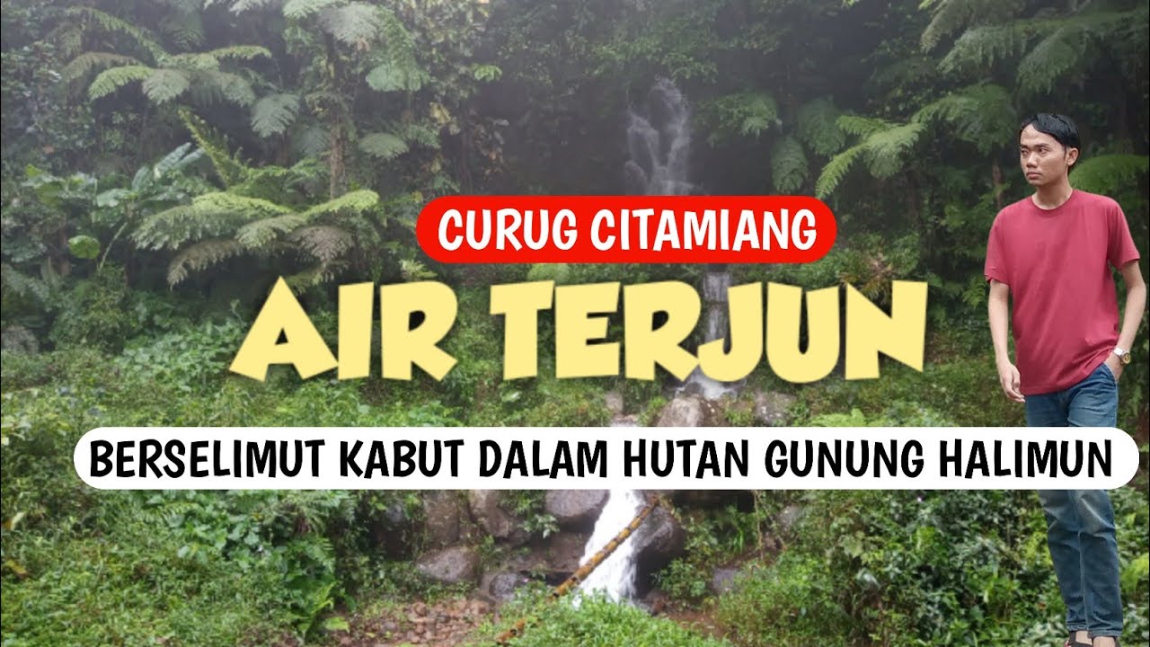 AIR TERJUN SENDIRIAN Berselimut Kabut DI DALAM HUTAN GUNUNG HALIMUN | CURUG CITAMIANG BOGOR