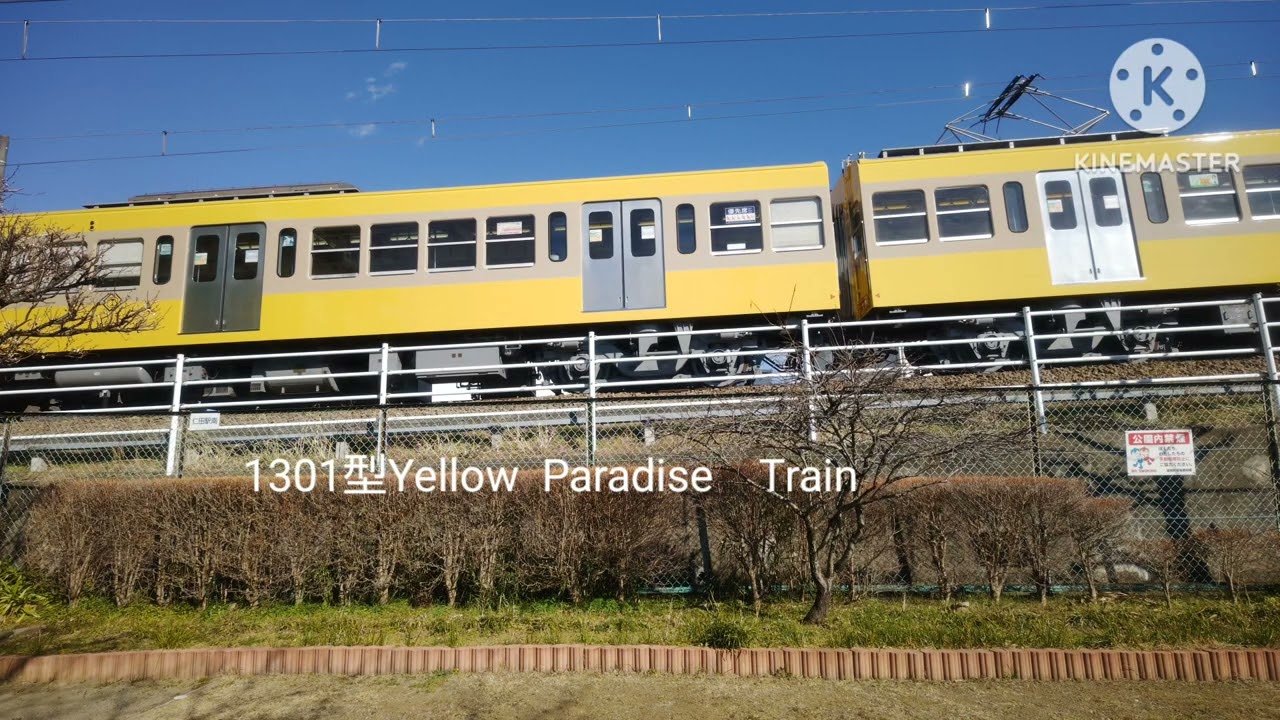 伊豆箱根鉄道駿豆線　101列車🚃