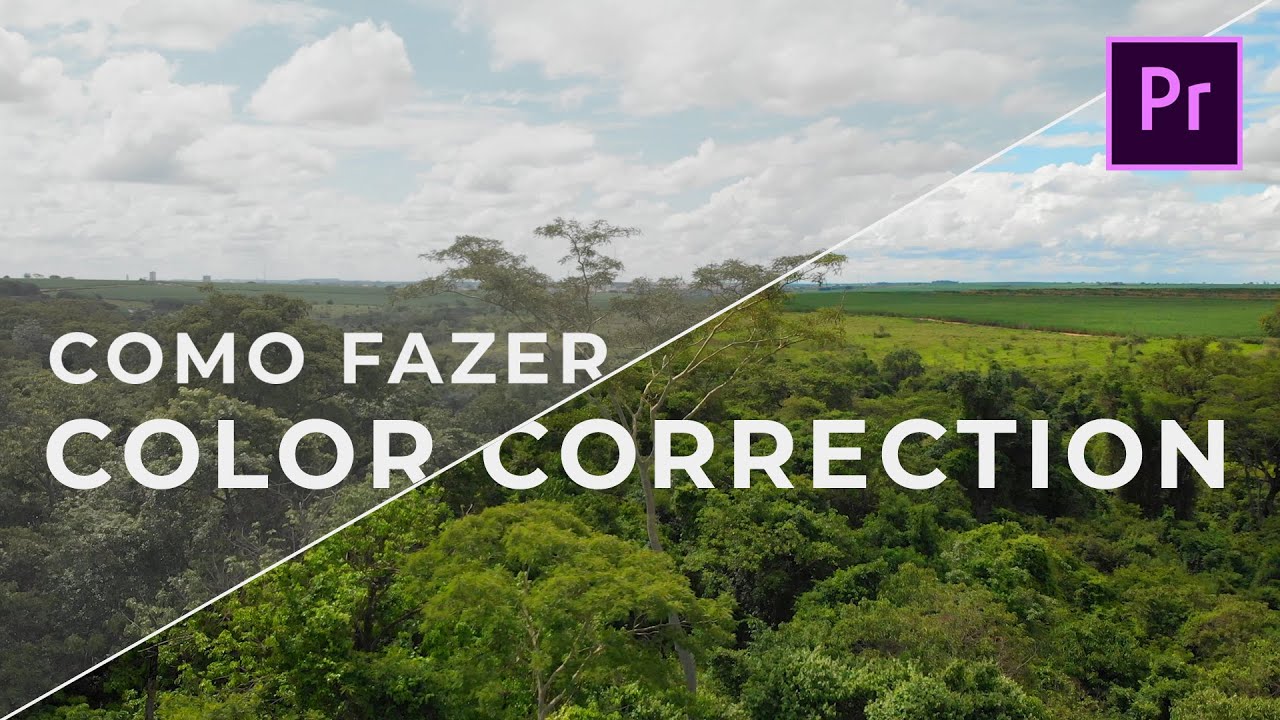 COMO FAZER COLOR CORRECTION E COLOR GRADING NO LUMETRI | Adobe Premiere Tutorial + Pack de LUTS FREE