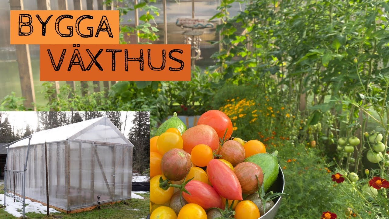 BYGGA ETT VÄXTHUS - Hur vi byggde växthuset i kanalplast, vad det kostade och mycket mer