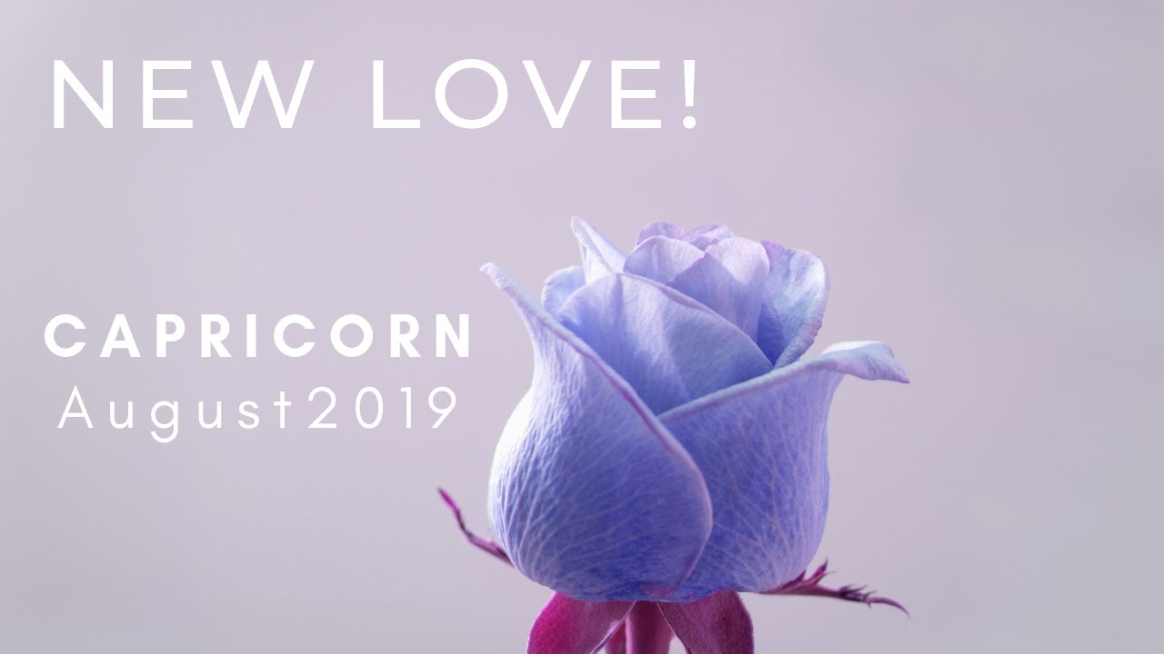 CAPRICORN: New Love! August 2019