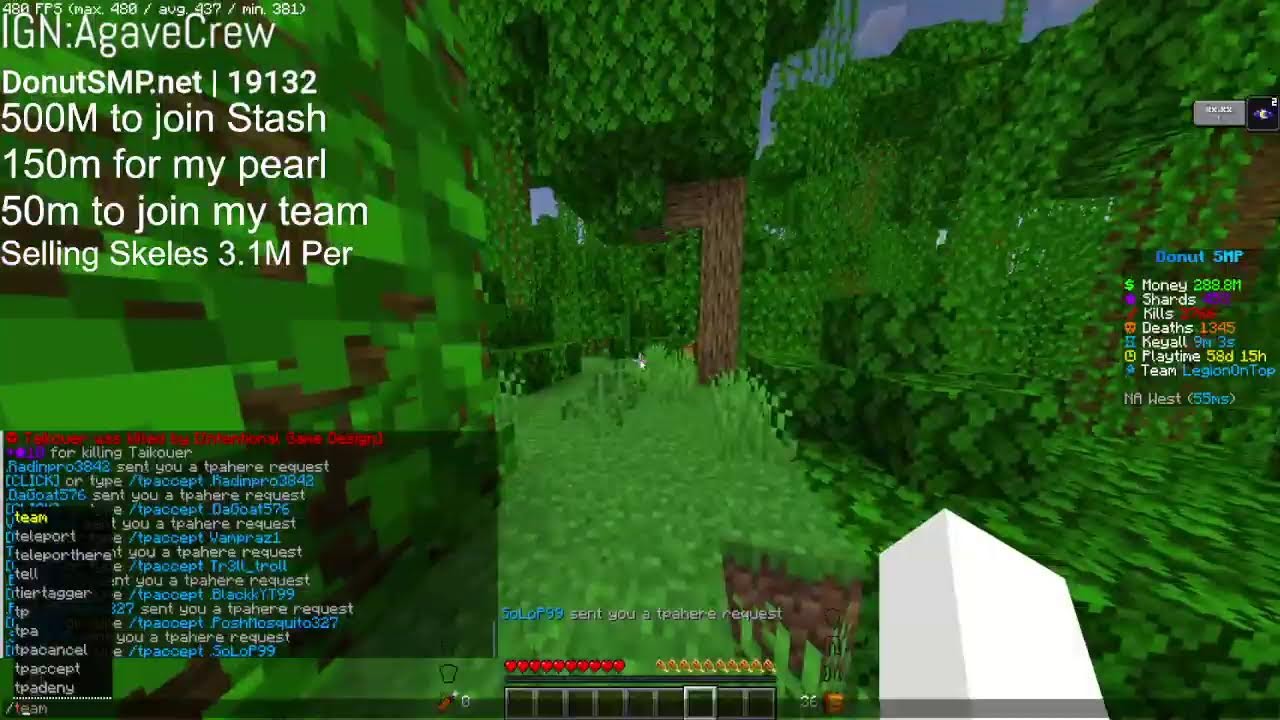 10m Bounty RN | Rating Bases + Gambling + Auctions + Bounties | DONUT SMP LIVE