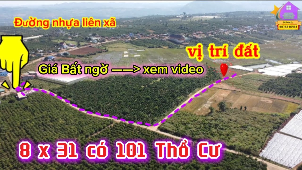 420 Triệu LÀM NHÀ Ở GẦN TRUNG TÂM 8x31 có 101 thổ cư #đấtvườnlâmđồng #batdongsan 