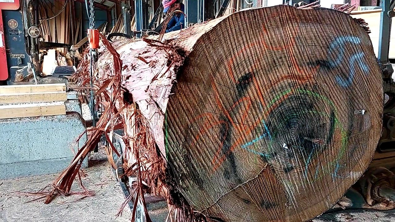 #90　“ 無節 ”の期待大の檜をさばく！【Japanese cypress lumber】Can you meet a beautiful board without knots? !