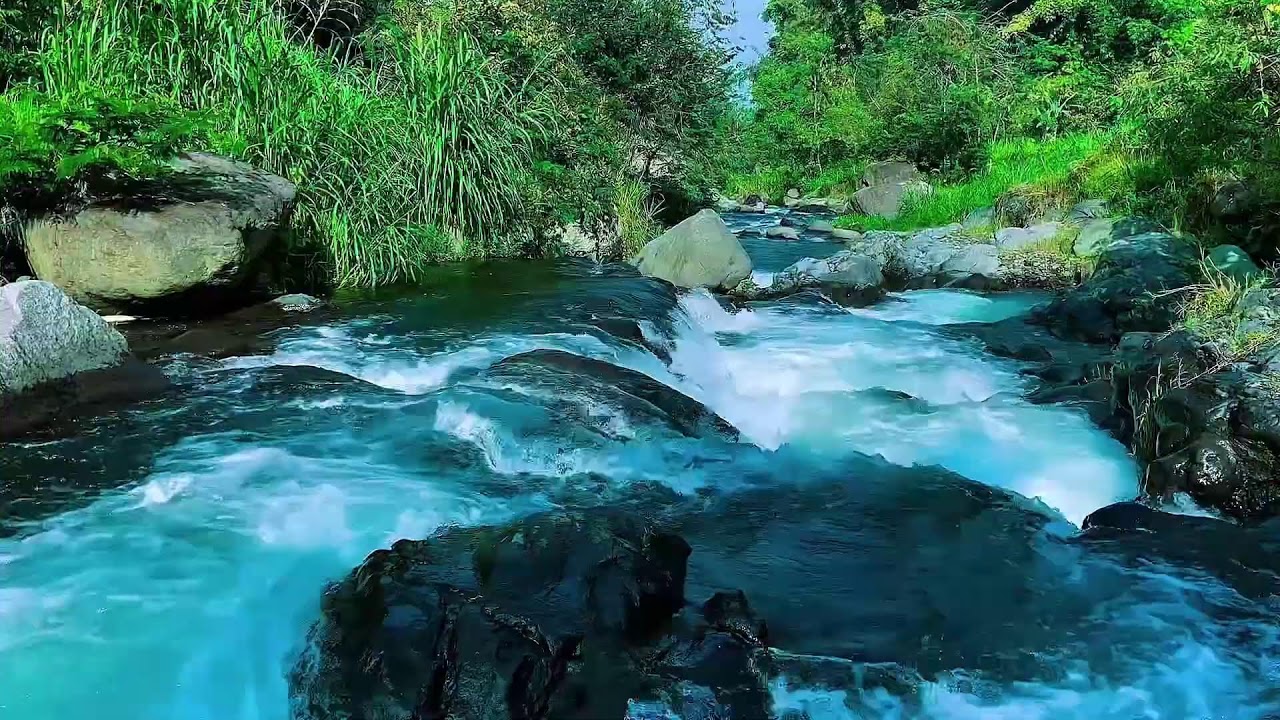 Flowing Mountain Stream Sounds, Forest River Calm Water, Sleep
