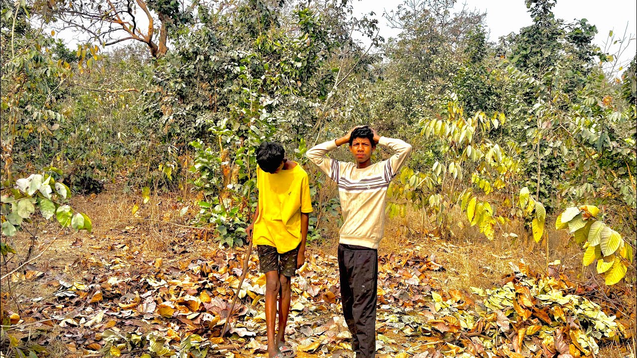 ￼ Jungle mein Chhota Sa Ghar banaya hue The ab nahin Raha🥹