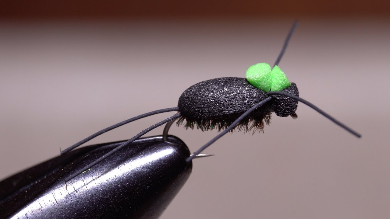 Foam Beetle 2.0