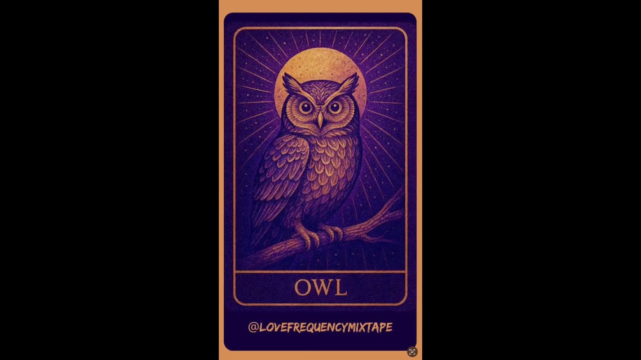 Sacred Owl Live Reading (short) by Love FM for White Buffalo Tarot _ Ancient Wisdom, Animal Stories