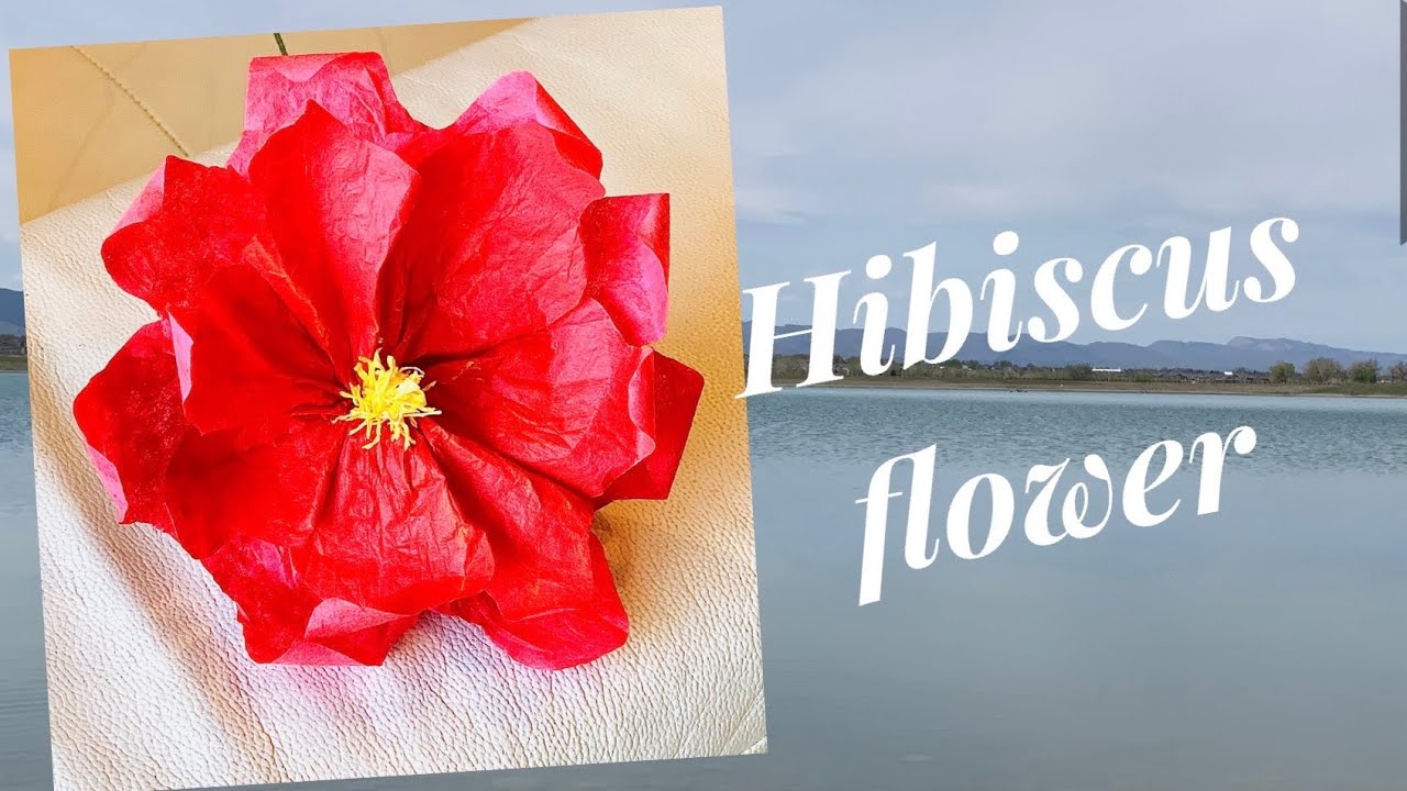 DIY ||Coffee Filter Flowers || Flower DIY || Hibiscus Flower
