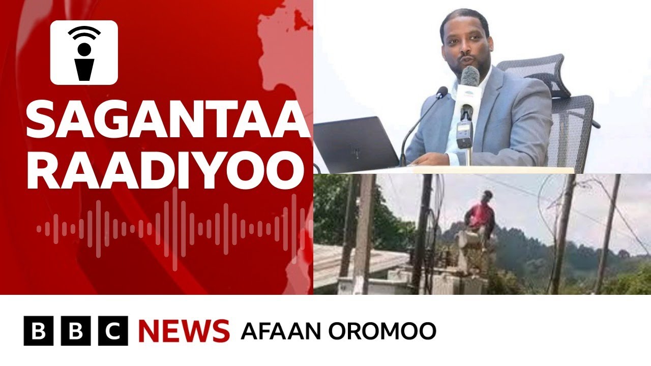 Hidhattoonni WBO Abbootii Alangaa Oromiyaa afur butan himatamuu | BBC News Afaan Oromoo
