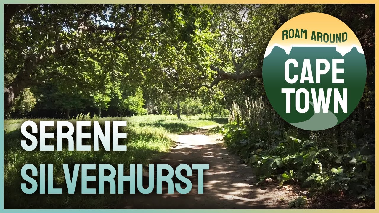 Walk in the woods listening to birdsong | Silverhurst Trail
