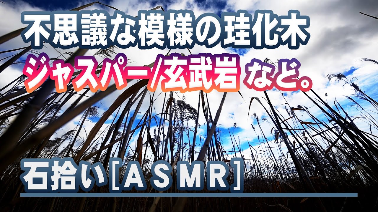 不思議な珪化木/ジャスパー/玄武岩
