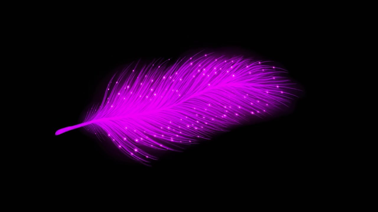 Fuchsia Feather Animated Loop | Creative Flow Music | Background