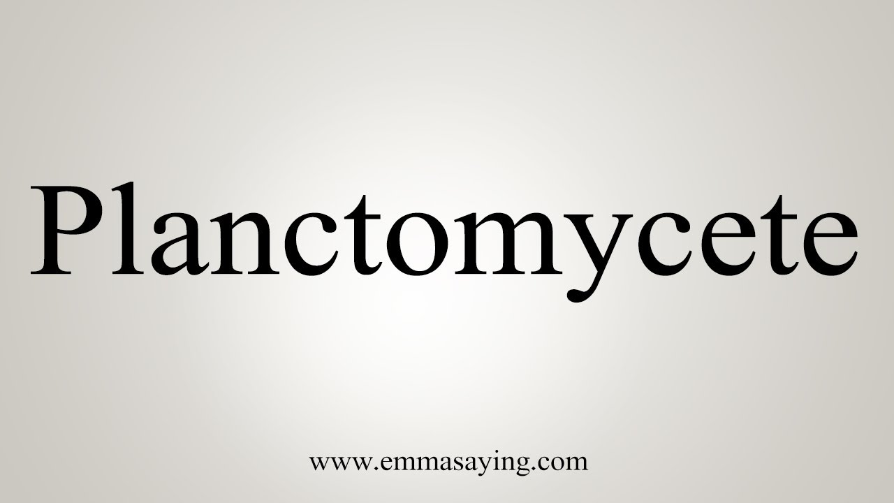 How To Say Planctomycete
