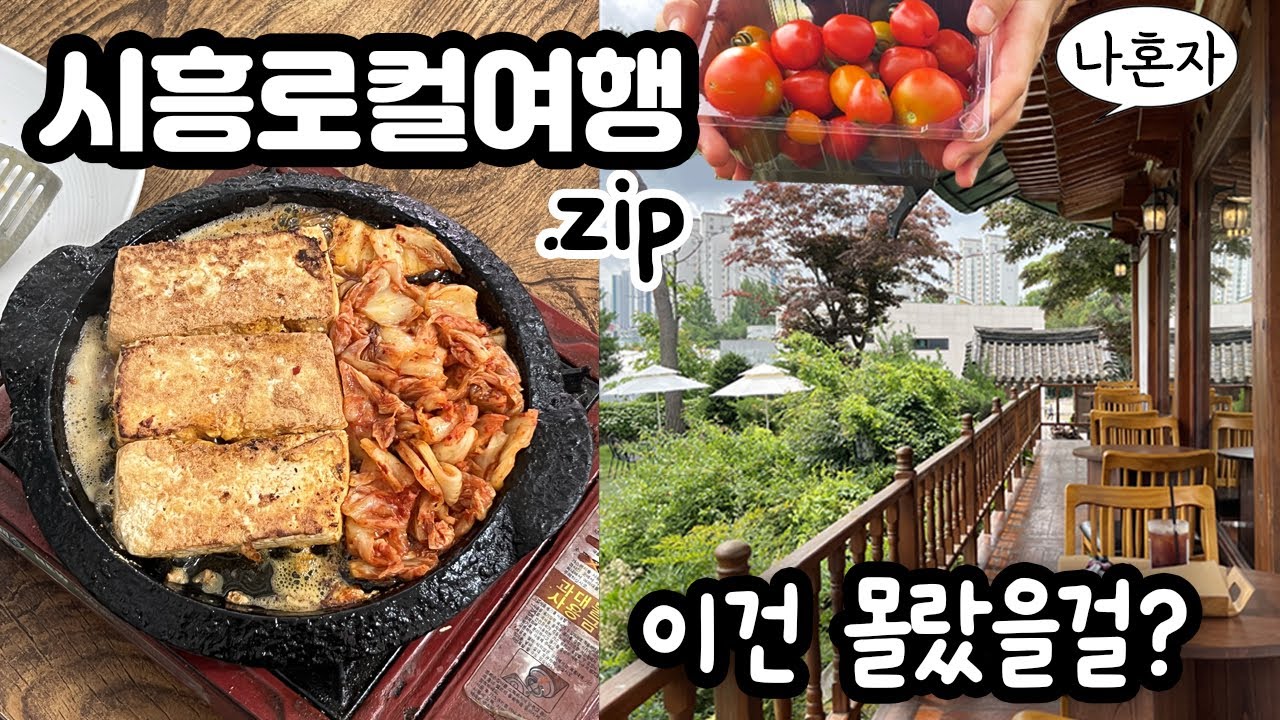 🌿 혼자 즐긴 시흥로컬여행.zip – 대야·신천 브이로그