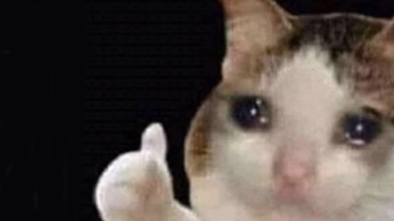 Memes you should watch alone