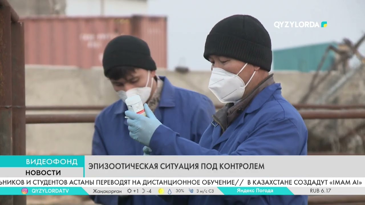 Эпизоотическая ситуация под контролем