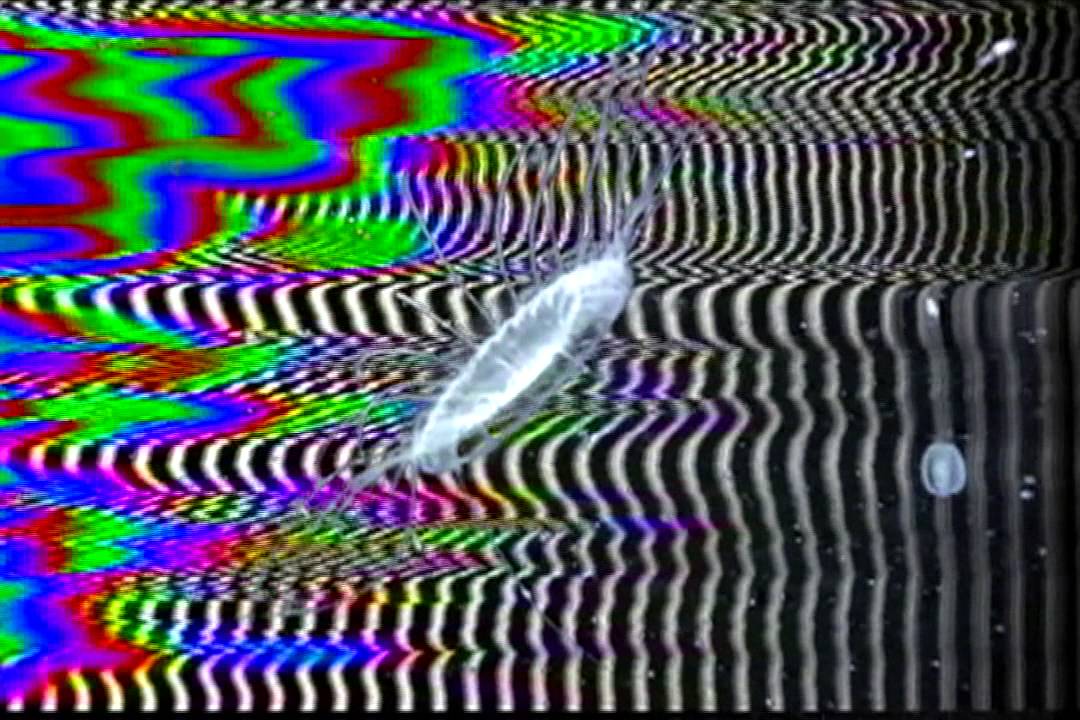 AEGEA - by WPC (Billy Corgan) -- BEST VERSION fully animated w. nautical astro visuals