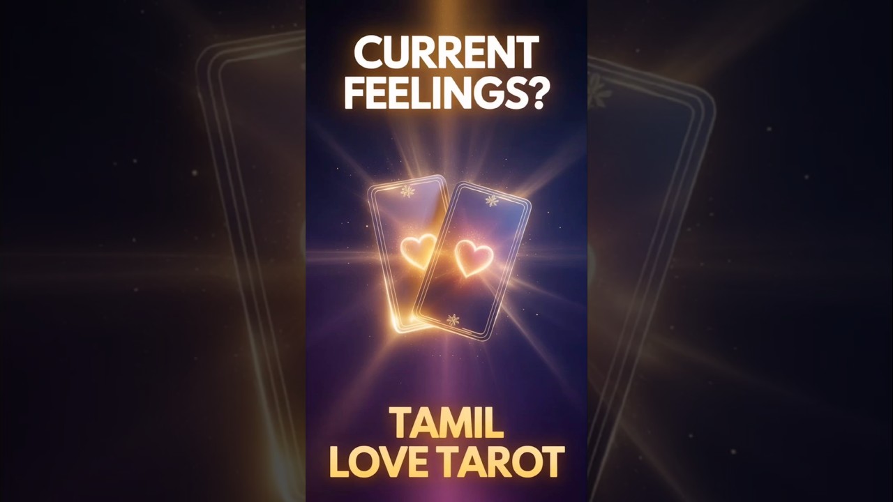 😔💗உங்கள் நபர் உங்களை பற்றி என்ன நினைக்கிறார் Current Feelings of Your Person| Love Tarot