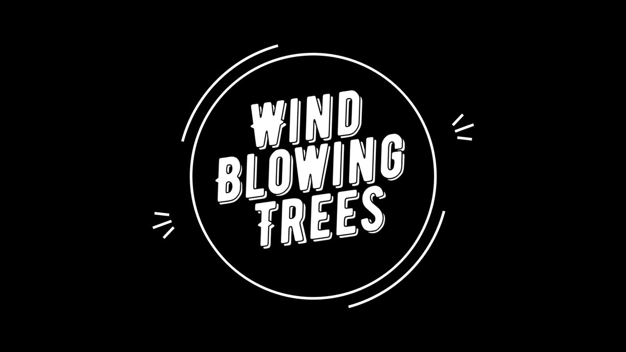 White Noise Black Screen 8 Hours Wind In Trees (The Wind Blowing Through Trees)