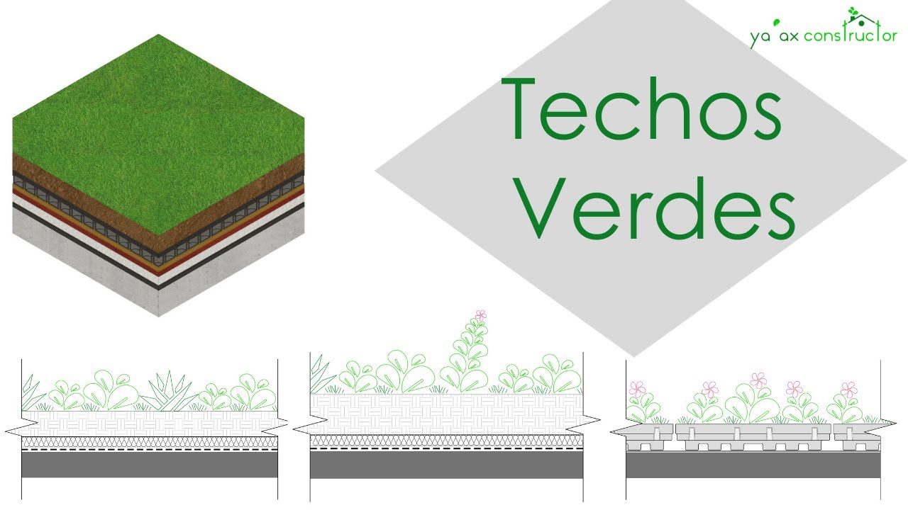 ¿Qué son los Techos Verdes?
