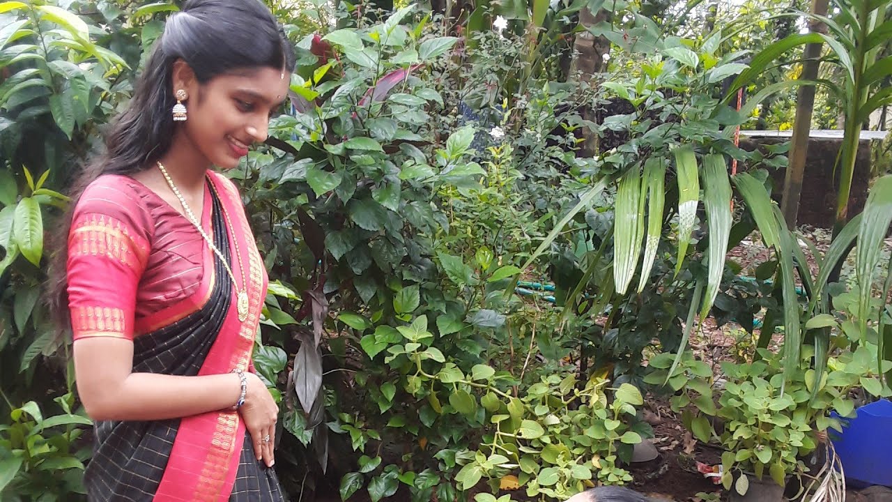 Random vlog✨❤️#sisters#vlog#tulunadu#tulu vlog#viral#vlogger#youtuber#fyp