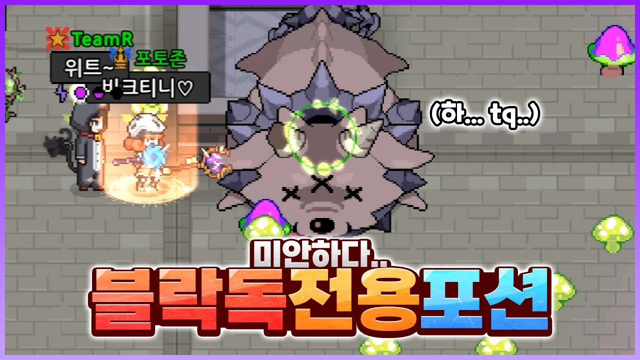 블락독 속성 공격 무시하는 포션들 [마법고:: 포션 조합] - 위트