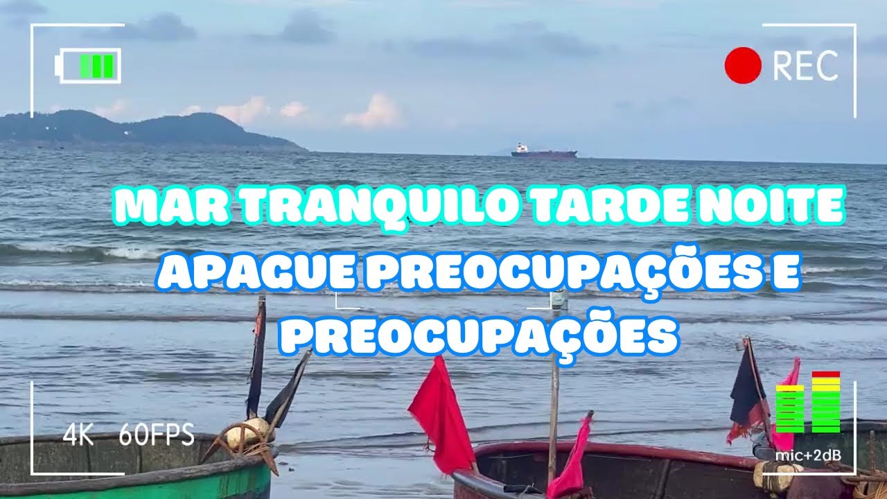 🚶‍♀️🎶 Caminhando pela Feira – Música Tranquila para Desacelerar