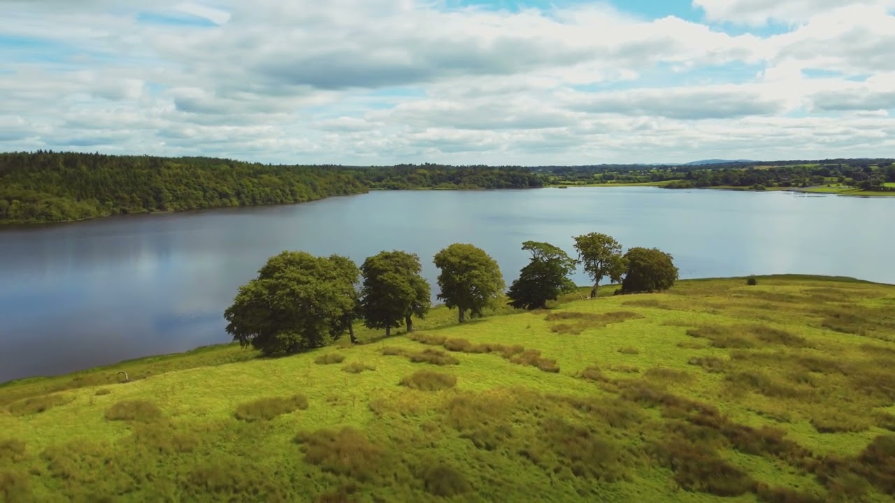 DJI Mini 2 - Inch Island, Lough Gowna, Ireland
