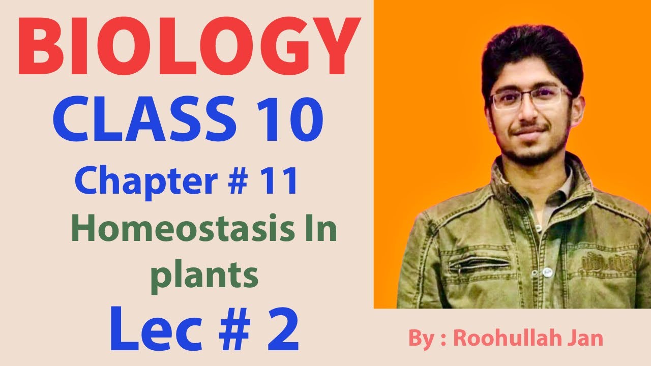10th Class Biology, Ch 11, Homeostasis in Plants - Matric Class Biology - lec 2 -